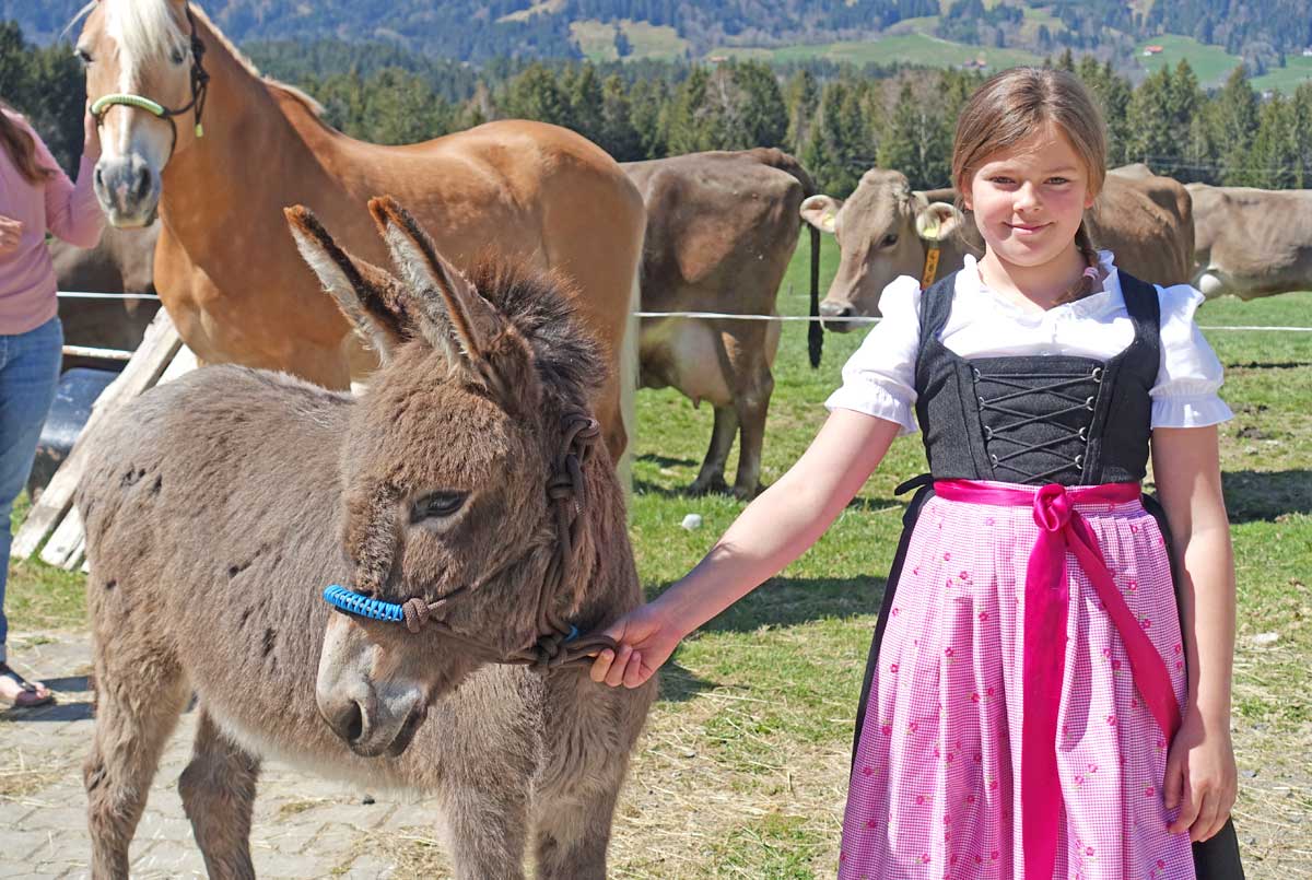 Beim Thanner -  Eselwanderung