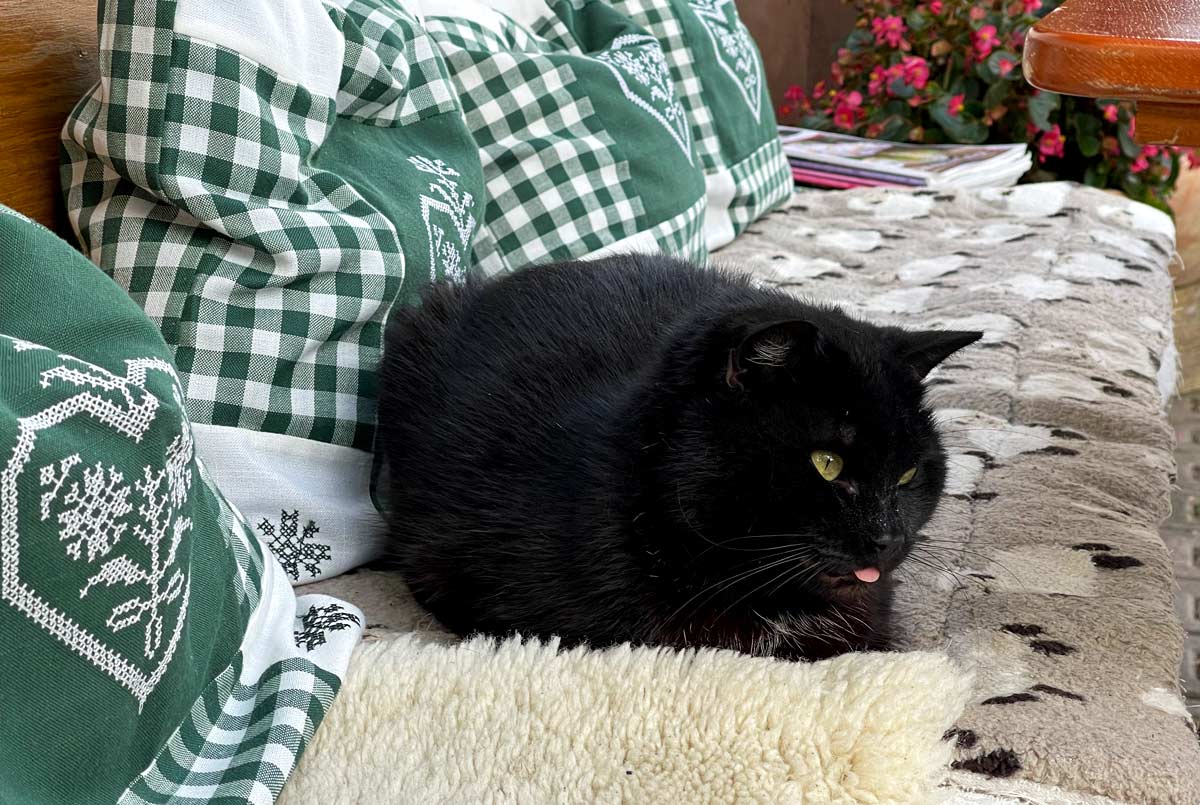 Hofkatze - Brotzeitstube beim Thanner