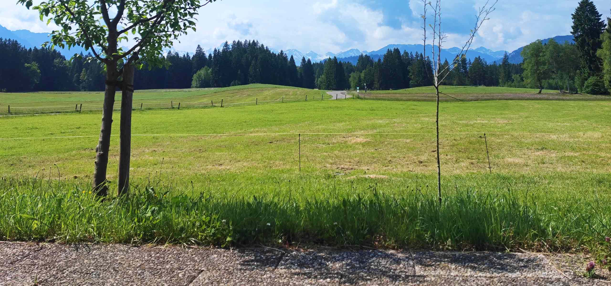 Campingplatz Allgäu - Brotzeitstube Beim Thanner